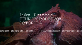 Tehnosorodostvo: Octopoda (PRESENTATION live stream - in Slovene) 2020-12-23 by Music by Numbers